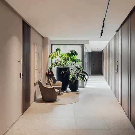 Serenity 卡托维兹